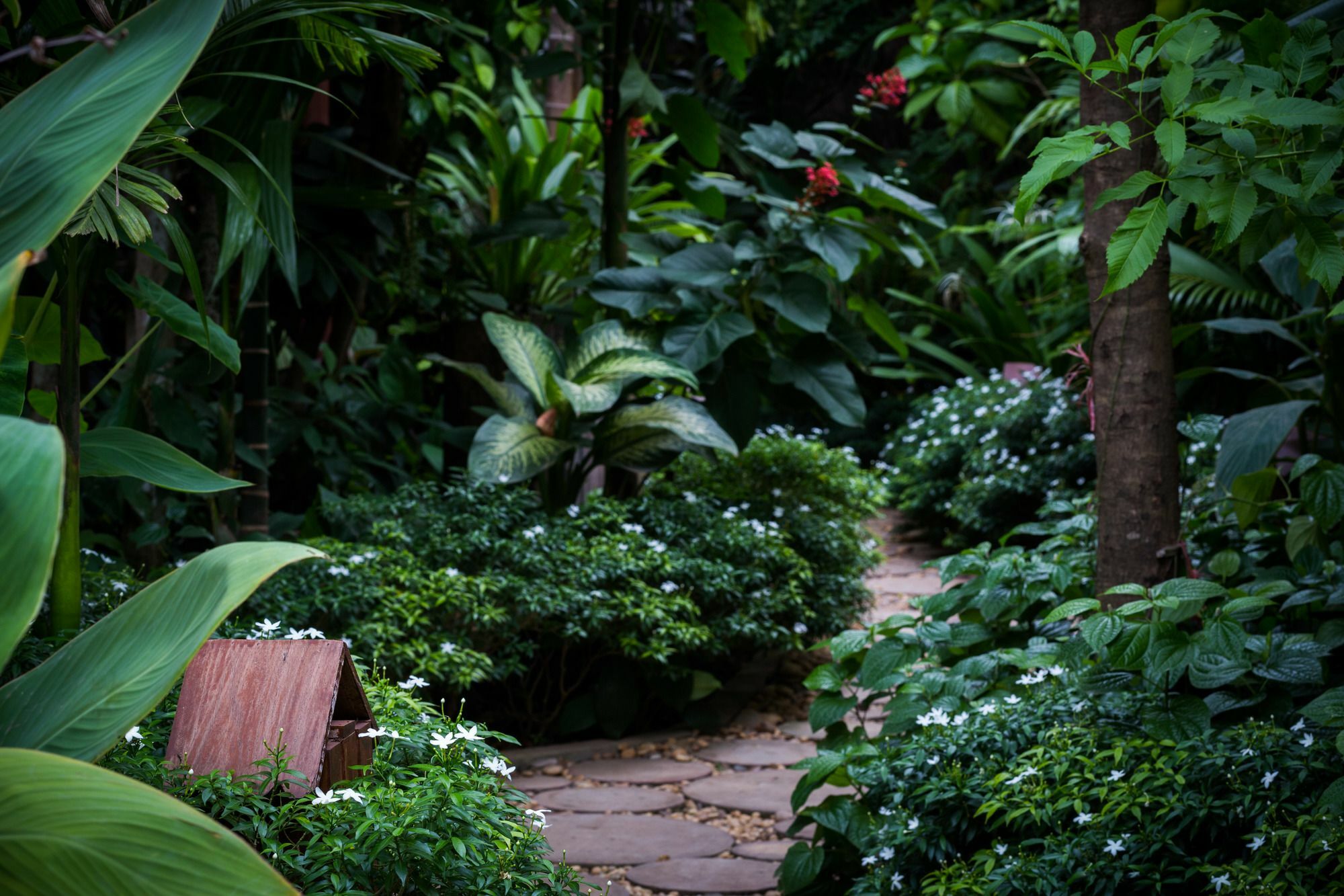 Malu Khmer Villa Siem Reap Eksteriør billede
